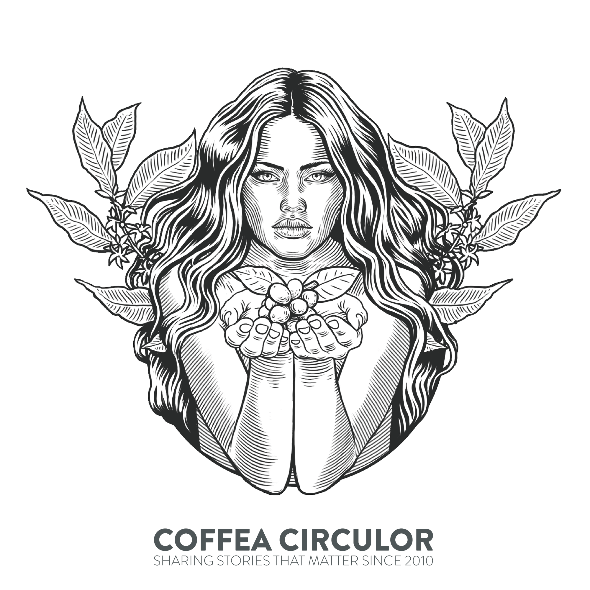 Kaffeprovning Länder och Plantager med kaffebönor från Coffea Circulor
